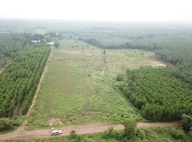 Diện tích 18.000 m<sup>2</sup> (5,4 mẫu có thể mở rộng…