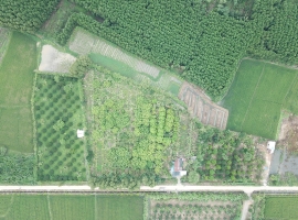 Đất Vườn Diện tích 7.000 m<sup>2</sup> – Vườn cây ăn…