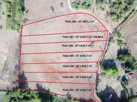 Đất Vườn Phân Lô 1400 m2 - 2800m2