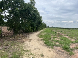 Đất có diện tích 20.000 m2 - Long Phước, Long…