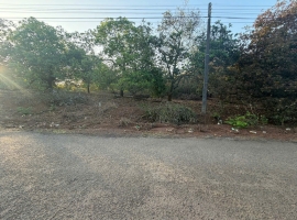 Mặt Tiền Bàu Cạn